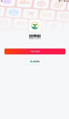 智惠鲸0