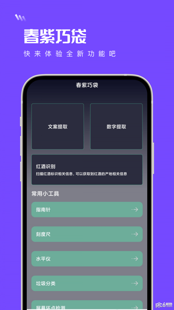 春紫巧袋1