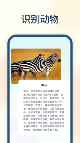 试卷星识别1
