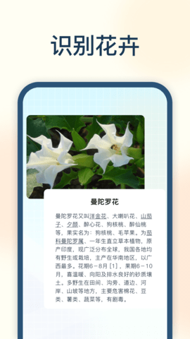 试卷星识别2