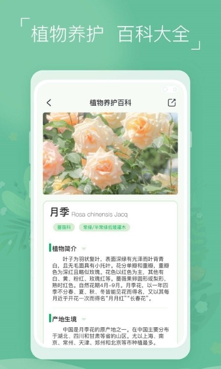 植物识别宝4