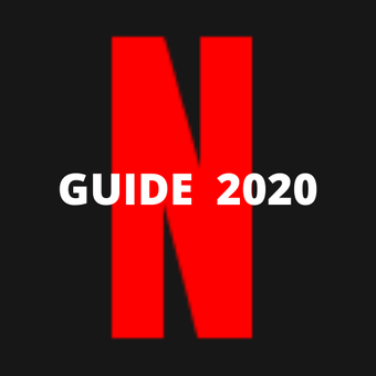 NetFlix 2020指南