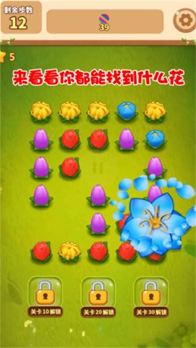 花朵连连消3