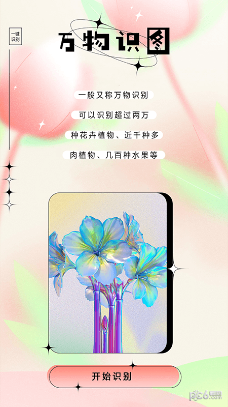 万物识图大师1