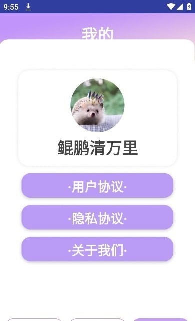 鲲鹏清万里1