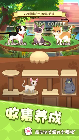 爱猫公社3