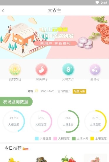 大农主0