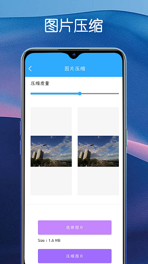 堆堆宝1