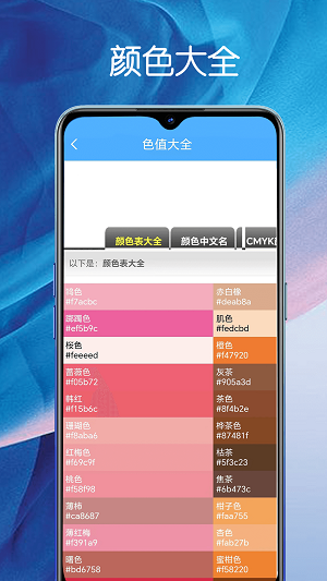 堆堆宝2