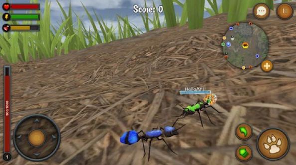 蚂蚁世界模拟器1