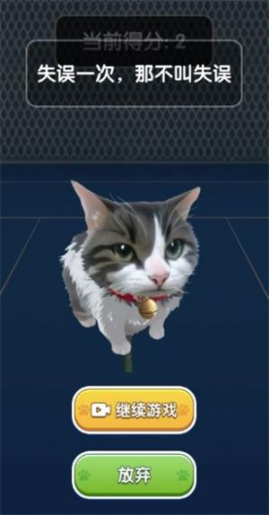 猫咪网球2