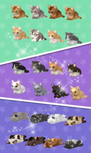 糖果猫世界1