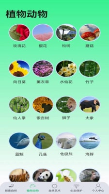 绿野乐园2