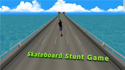 翻转滑板(Flip Skaterboard Game)1