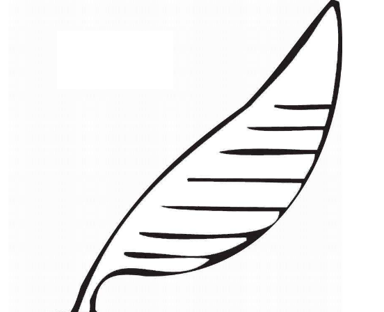 QQ画图红包羽毛的画法教程分享