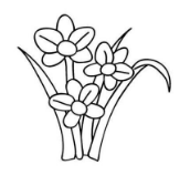 qq画图红包花朵画法教程分享