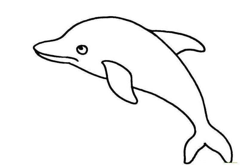 qq红包海豚画法教程分享