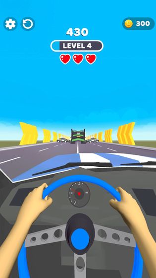 Fast Driver 3D1