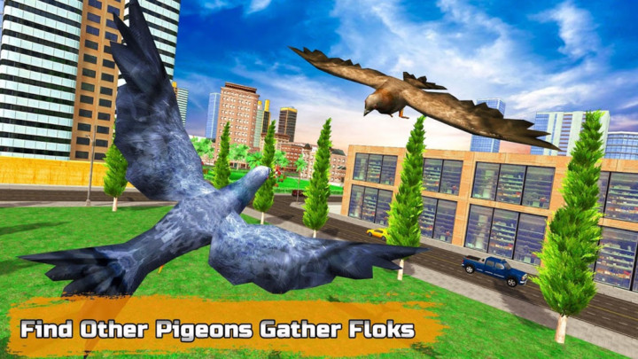 鸽子鸟模拟器游戏2