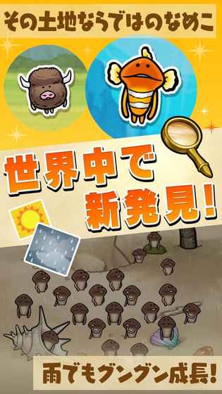 滑子菇栽培套装0