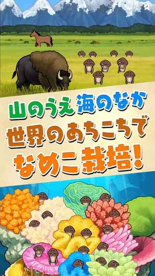 滑子菇栽培套装2