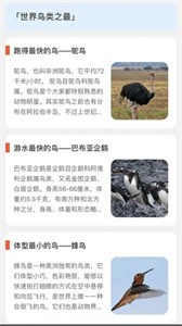 青鸟看看2