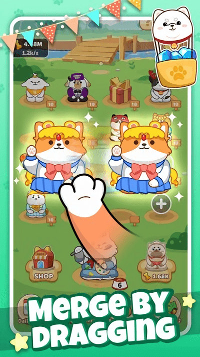狗狗公园3