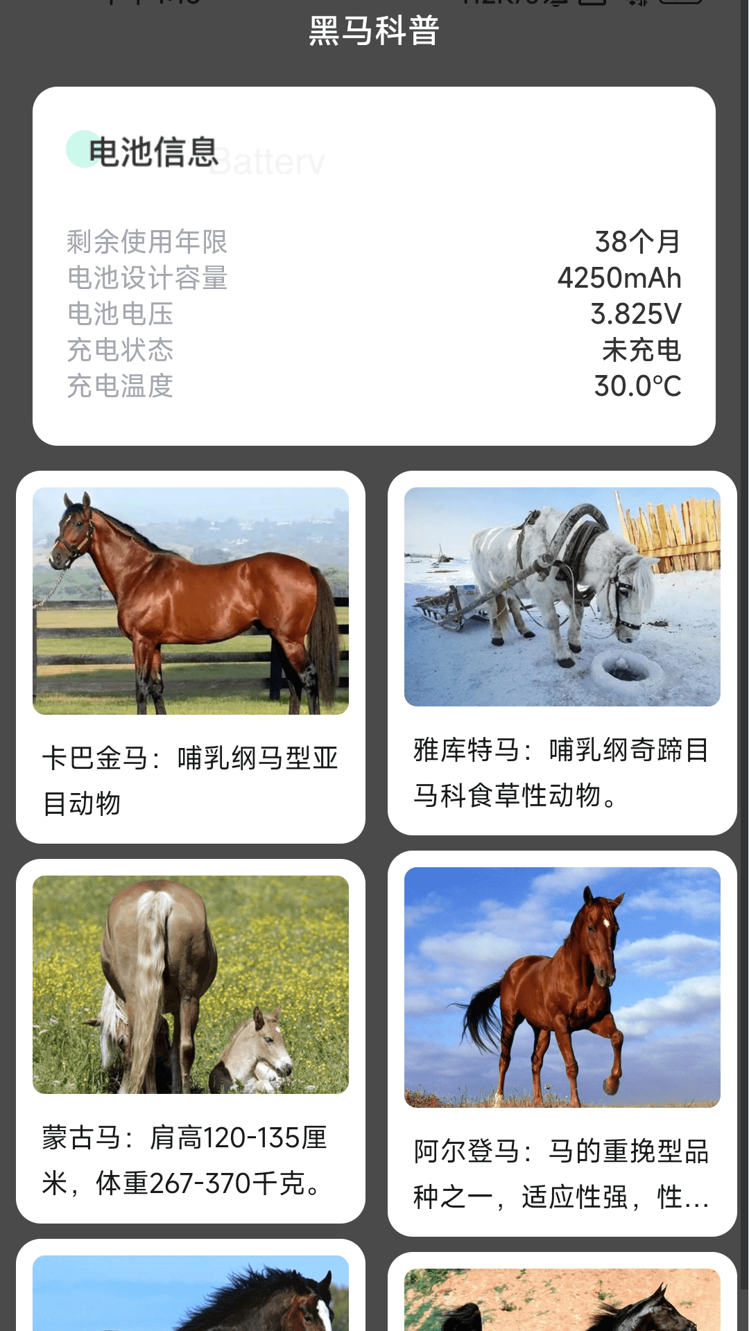 黑马充电1