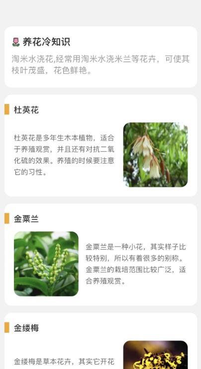百花悦看1