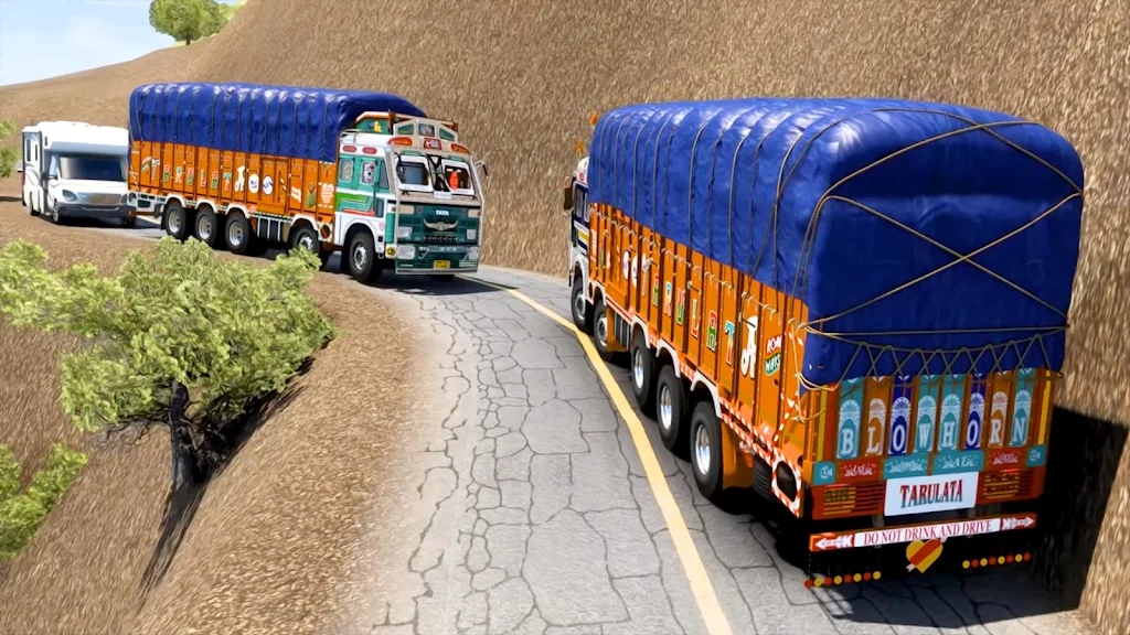 印度卡车货物运输0