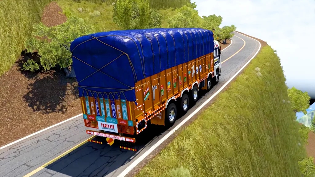 印度卡车货物运输1