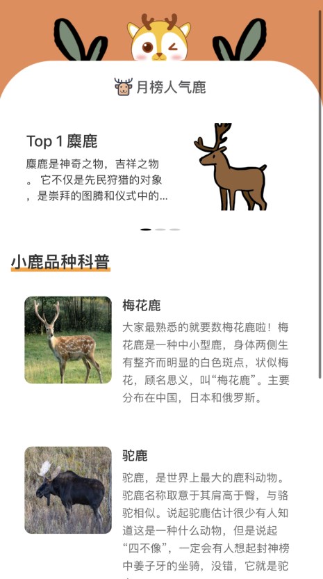 小鹿趣看2