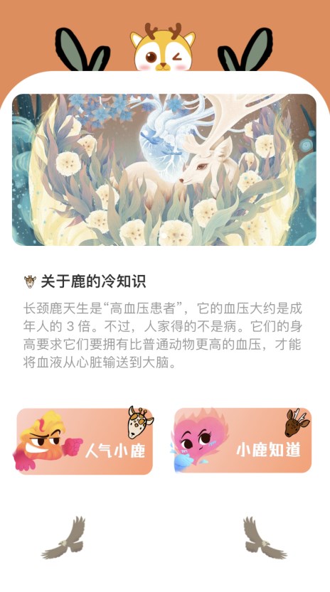 小鹿趣看3