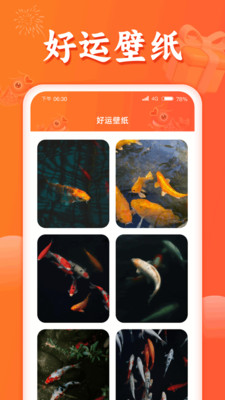 锦鲤有礼1