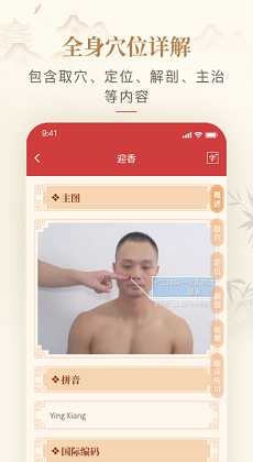 人体穴位图解3
