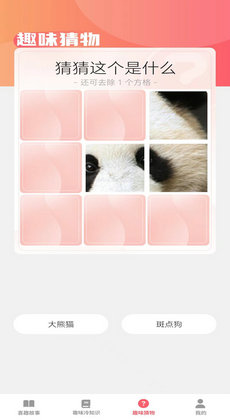 喜趣看看2