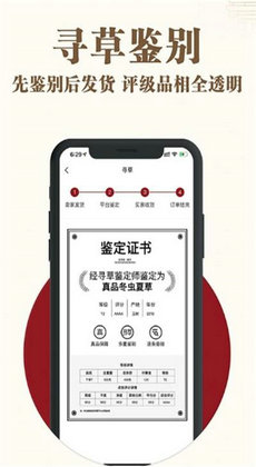 寻草商城2