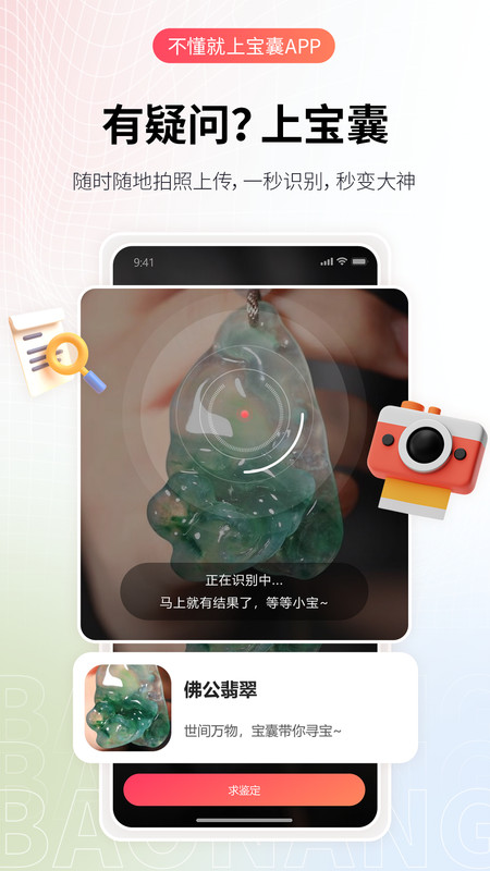 宝囊2