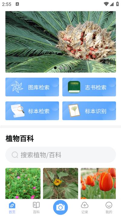植物智0