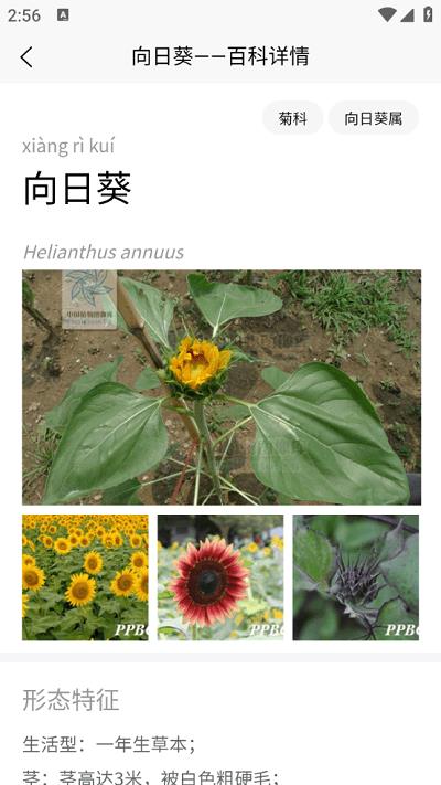 植物智2