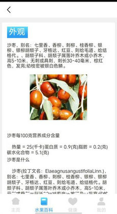 口袋水果知识科普1