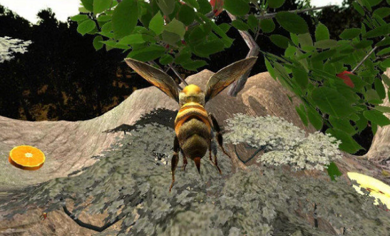 蜜蜂生存模拟器1