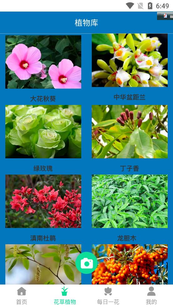 神农花草园艺1