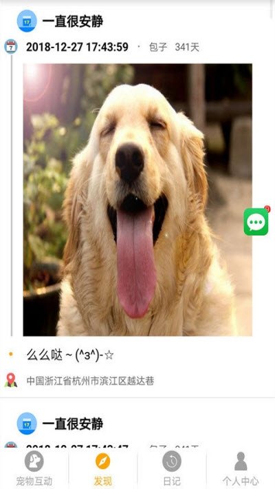 宠物的日记1