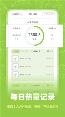 热量计数器1