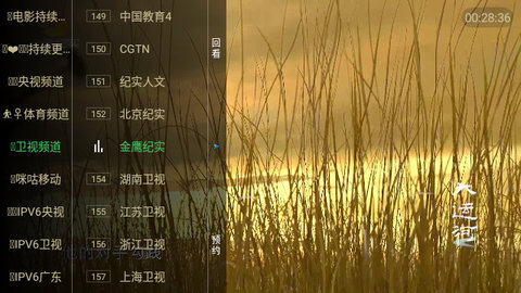 糖意电视TV4