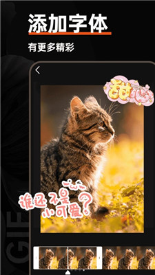 GIF动图社区1
