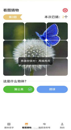 趣味脑力王0