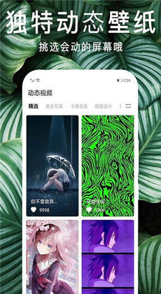 灵猫壁纸图库0