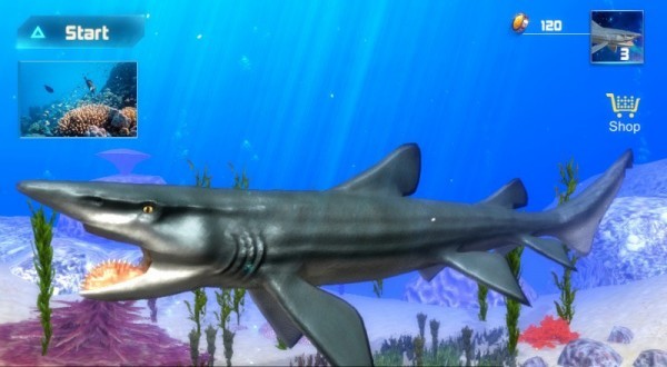 旋齿鲨模拟器最新版1